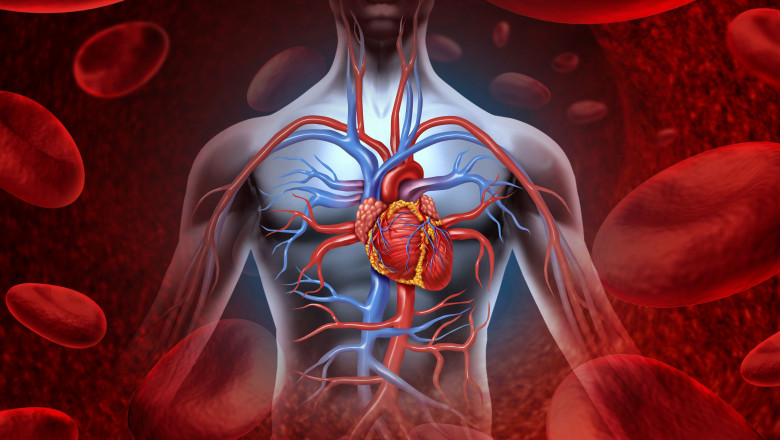 Inima – un organ sfînt