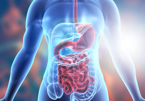 Dereglările gastro-intestinale  din perspectiva medicinei energo-informaționale