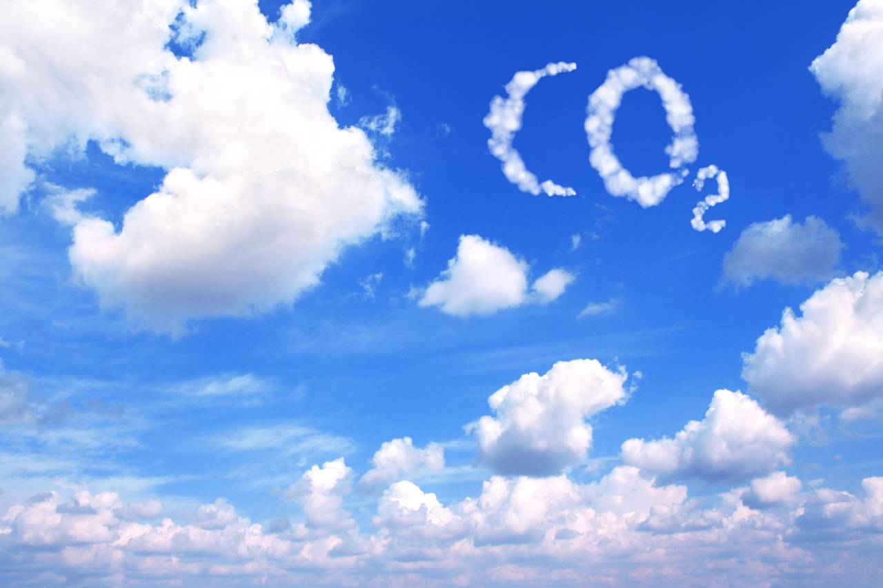 Cruciada împotriva carbonului, o alegorie modernă a rătăcirii ecologice Cruciada împotriva carbonului, o alegorie modernă a rătăcirii ecologice