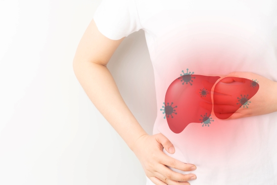 Ficatul bolnav are efecte distructive asupra altor organe ale corpului.. Ficatul bolnav are efecte distructive asupra altor organe ale corpului..